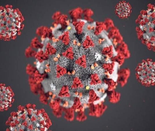 Coronavirus origin