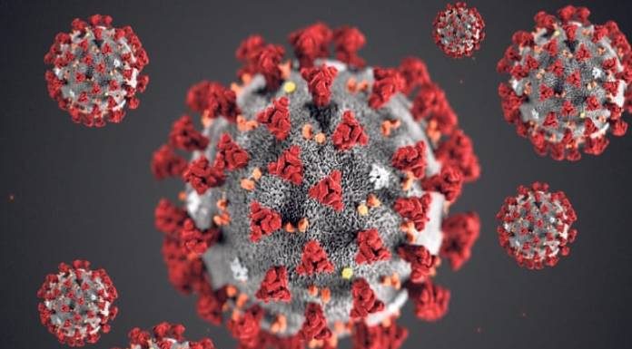 Scientists Develop Tool To Find If Covid-19 Outbreak Is Natural Or Manmade Coronavirus origin