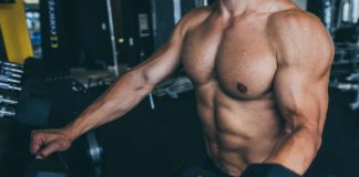 exercises for whole body muscles