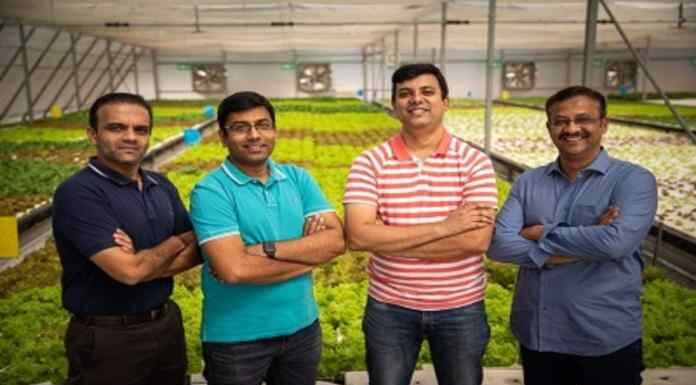 Clover, Bengaluru start-up on its way to get food from greenhouses to our plates clover