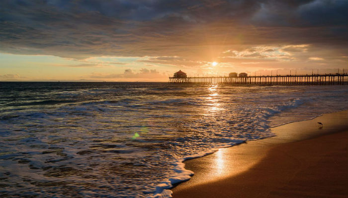 Beach Photography