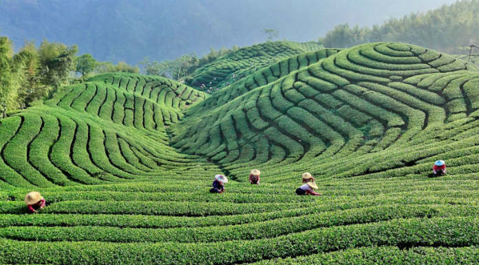 build an agritourism business