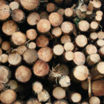 purchasing a sawmill
