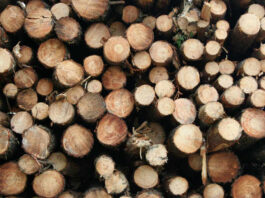 purchasing a sawmill