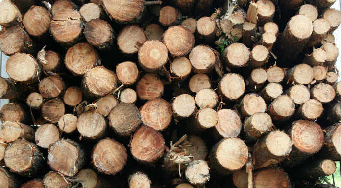 purchasing a sawmill