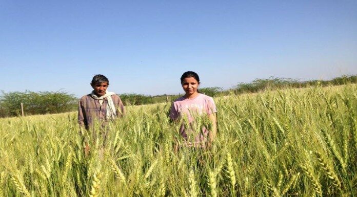 Ankita Kumawat, an IIM grad, quit her high paying job to adopt organic farming Ankita-Kumawat