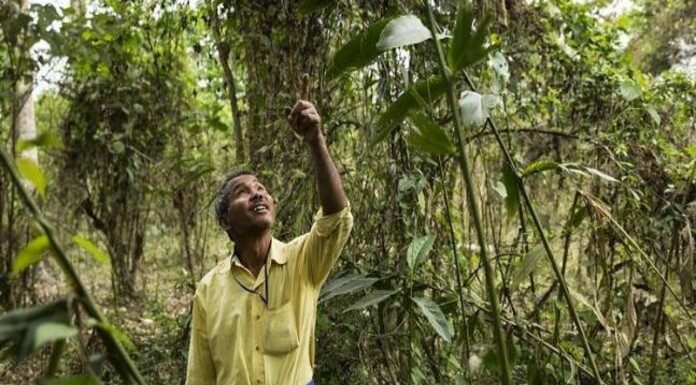 Jadav Molai Payeng- This man has a Padma Shri and an entire forest named after him jadav