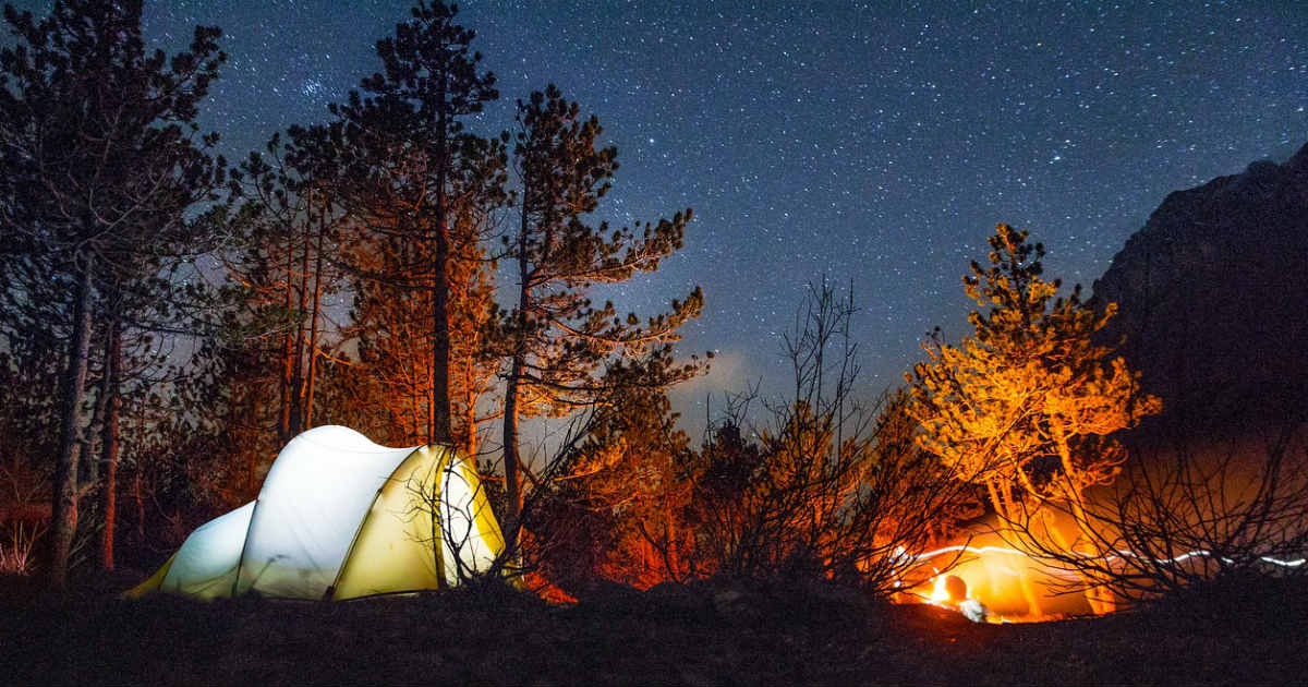 7-things-to-keep-in-mind-for-a-forest-camping-our-own-startup