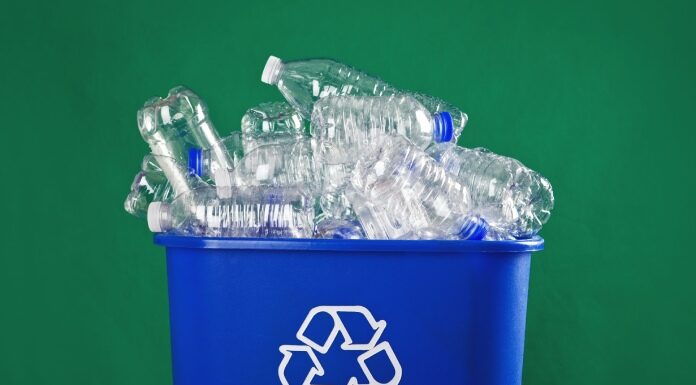 Reuse, Not Refuse; Taking Advantage of Long-Lasting Products recycling plastic