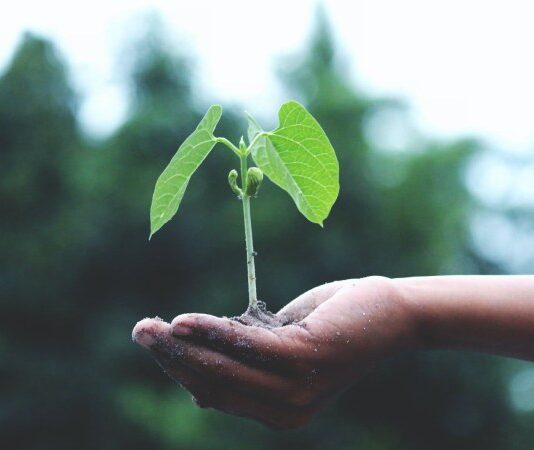 eco-friendly business