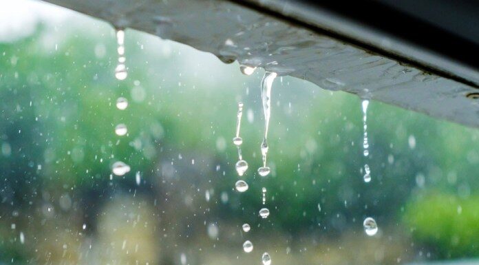 How to Fix a Leaky Office Building for Good Fix a Leaky Office Building