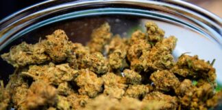 Medical marijuana dispensary