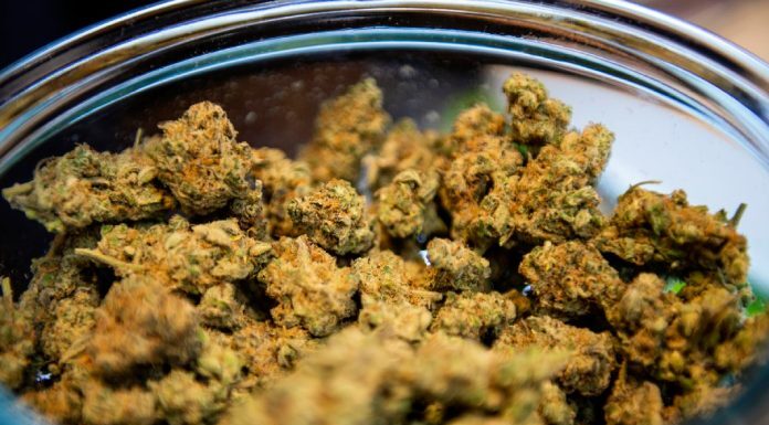 Medical marijuana dispensary; 4 things business owners should keep in mind Medical marijuana dispensary