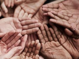 Growth Potential Of Your Non-Profit Organization