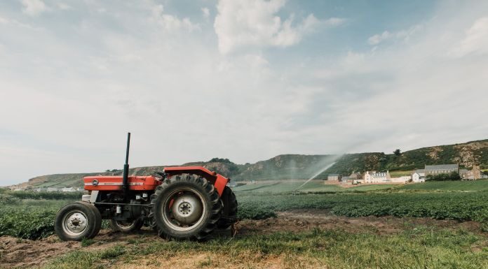 How New Agriculture Businesses Can Find the Perfect Property New Agriculture Business