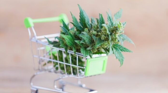 Common Canna-business Mistakes First-time Canna-preneurs Can Avoid common business mistakes