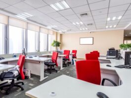 Spruce Up Your Office