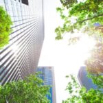 Best Practices for Corporate Sustainability