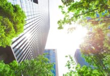 Best Practices for Corporate Sustainability