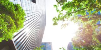 Best Practices for Corporate Sustainability