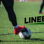 Linebet Mobile App 2