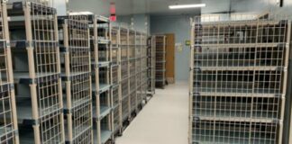 Ways Polymer Shelving Can Maximize Your Storage