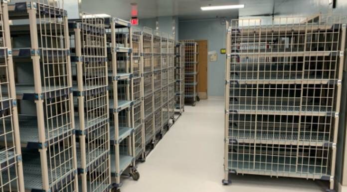 Ways Polymer Shelving Can Maximize Your Storage