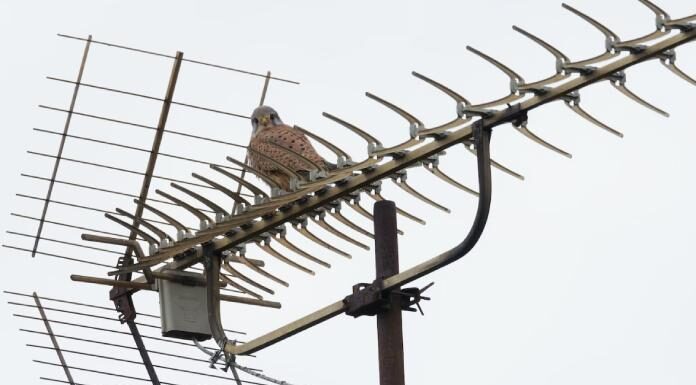 Different Kinds of Machine Antennas and What They Do Machine Antennas
