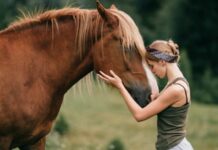 Equine Therapy