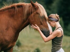 Equine Therapy